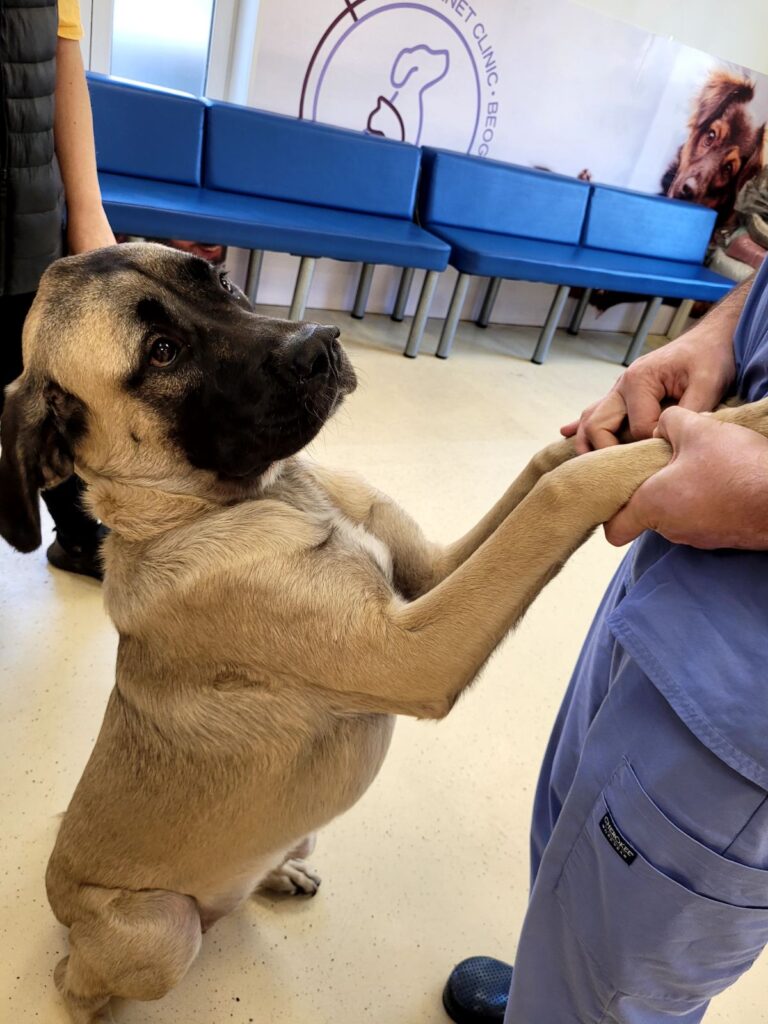 IMG-2c386e3d691a618f83ac023f0755a8f9-V