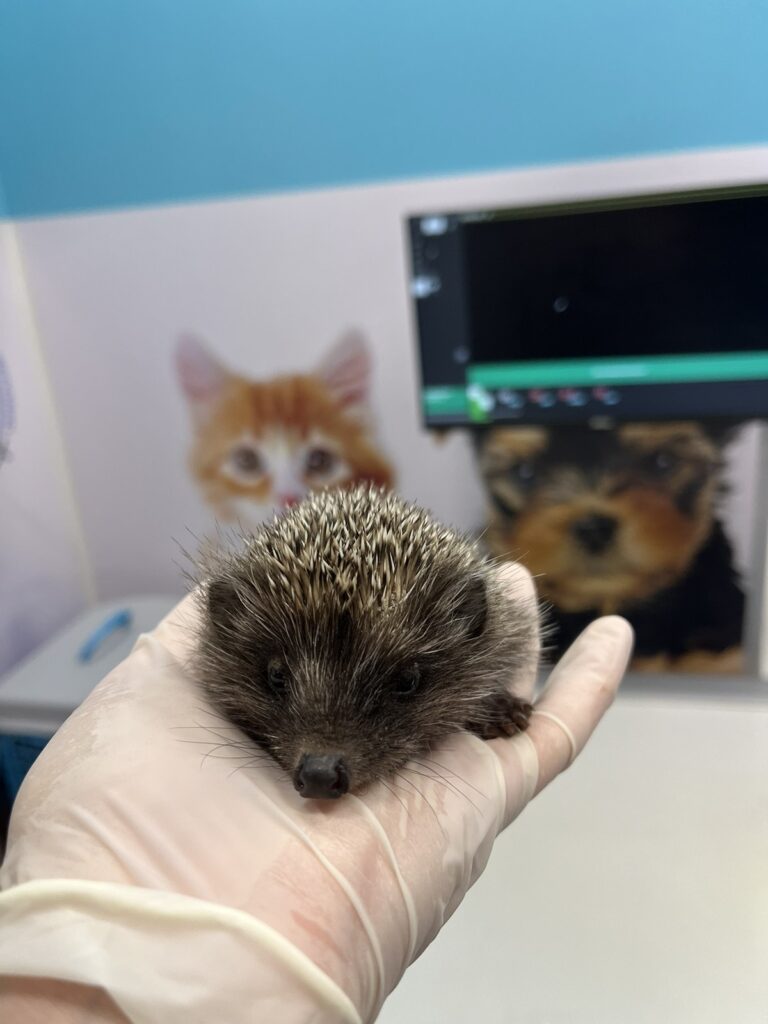 IMG-3ce1899cf60024849f4a09a4642dcbc8-V