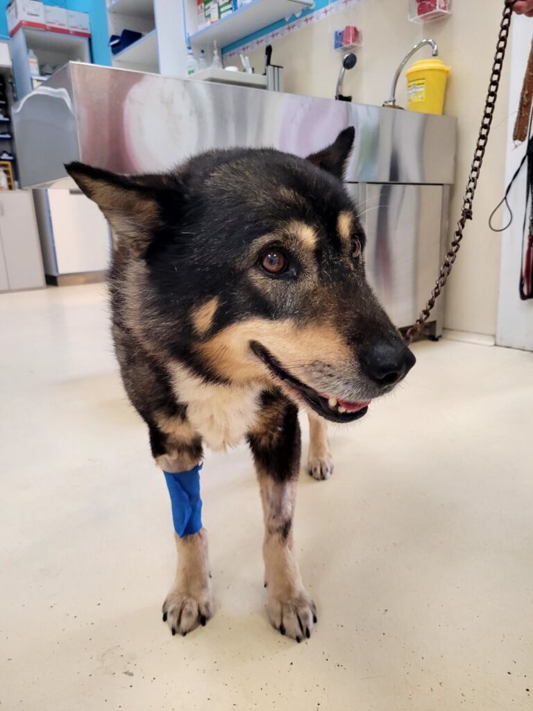 IMG-b6ba920d4884860700c5ac47d98df0b3-V