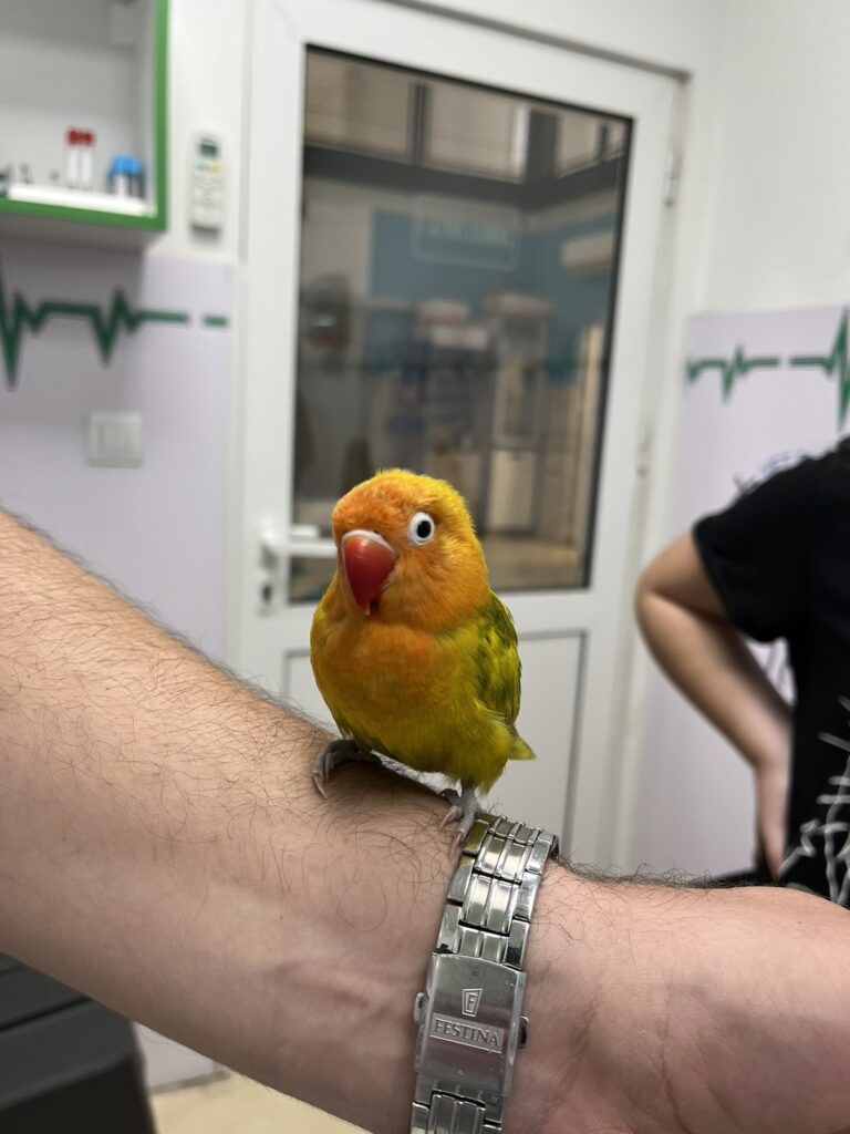 IMG-c9679f75c4caf7c3e3d5f6e544bc1585-V