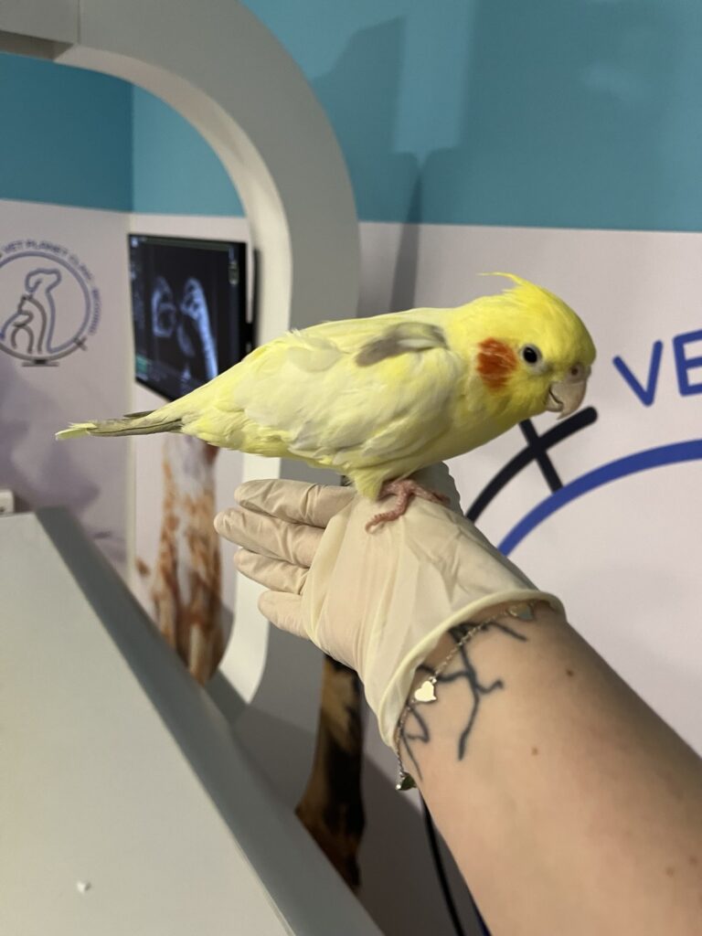 IMG-d9a9e4593e7732a4bf1bde51272b43ca-V