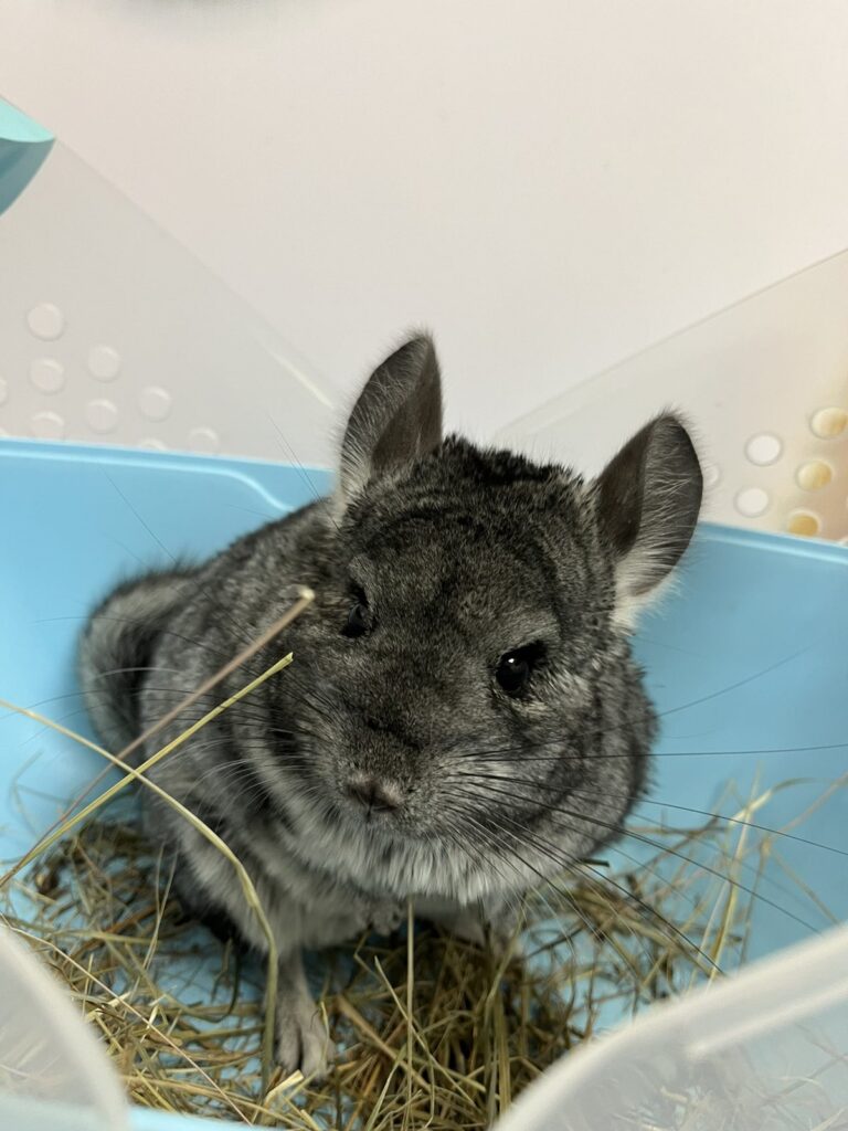 IMG-df9a5def5d297587973eb79d4241af50-V